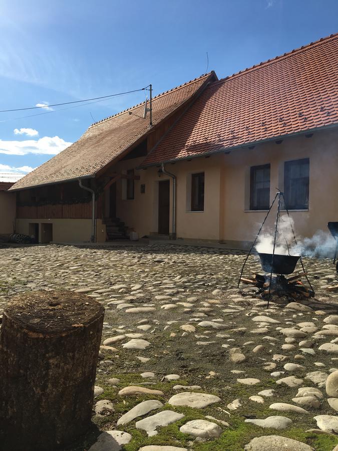 Вилла Casa Saseasca Saschiz Экстерьер фото